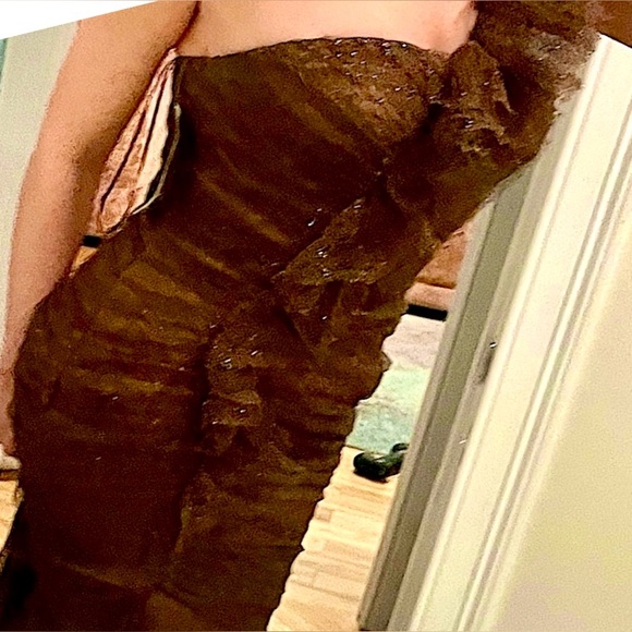 Carmen Marc Volvo dress size 8 mermaid mother of the bride gown gorgeous $4400 - Picture 4 of 15